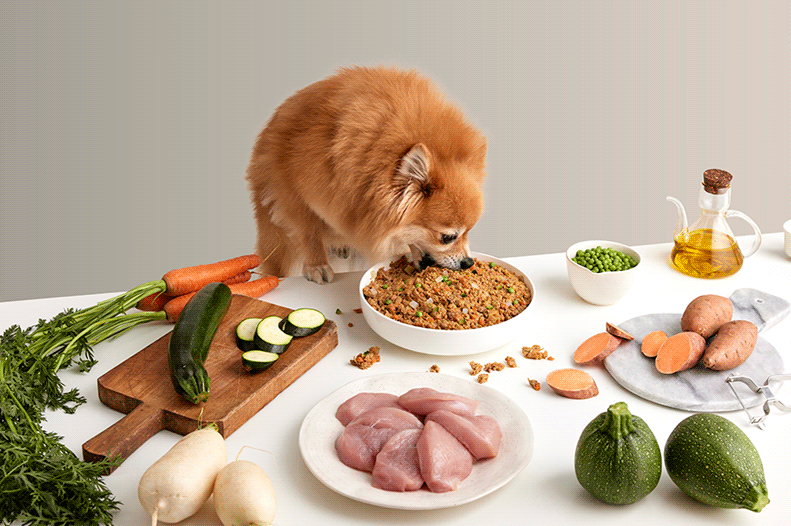 Offre Spéciale Fête des Mères : 45% de Réduction sur la Boîte d'Essai Dogfy Diet