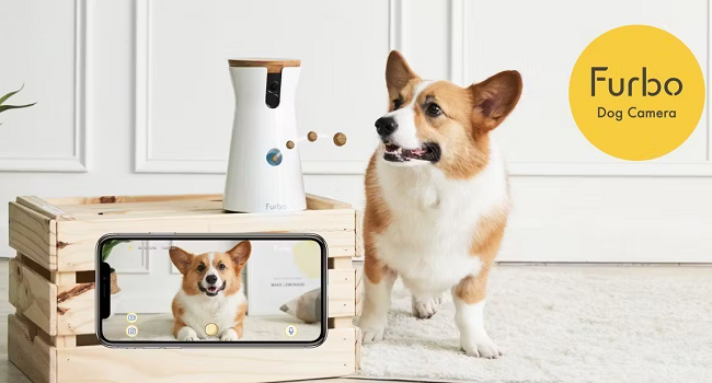 Bons de réduction de 10 € caméra pour chien Furbo 360°