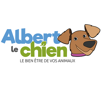 Albert le chien