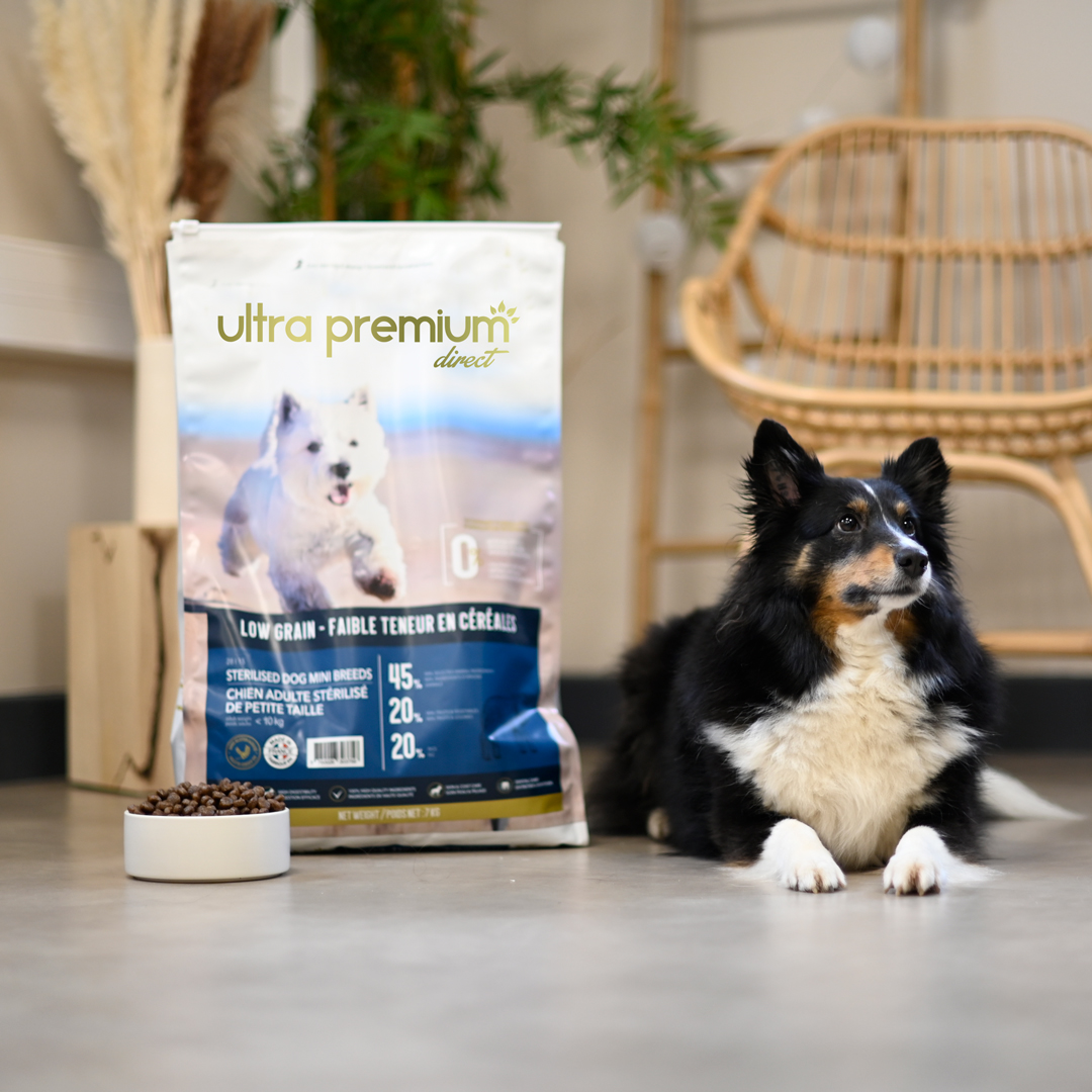 Code promo 5€ Ultra Premium Direct pour chiens