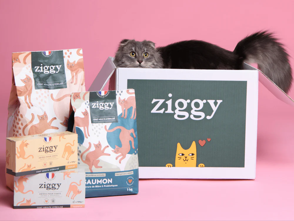 15% de réduction sur chacune de vos commandes pour chats avec Ziggy