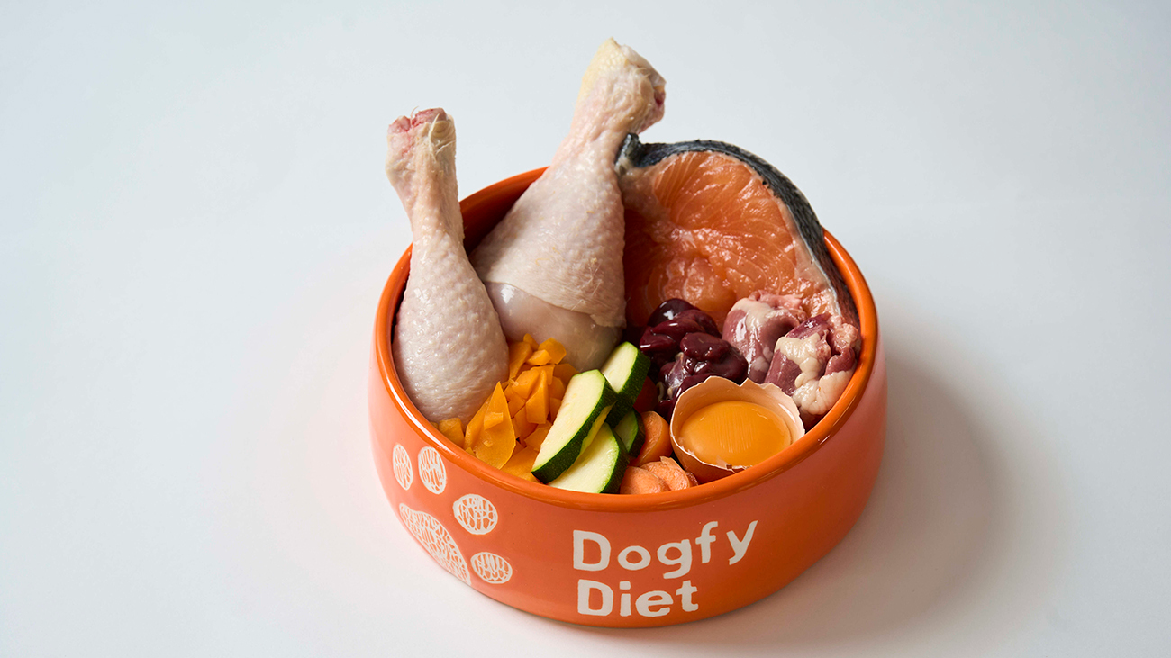 -30% sur le Menu d'essai Dogfy Diet