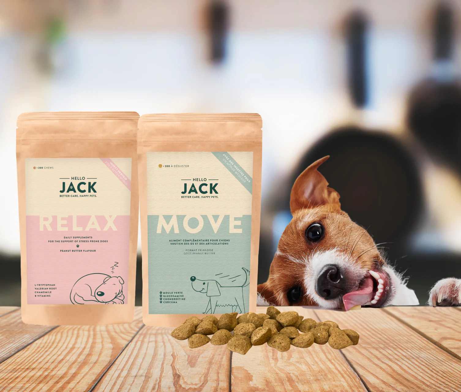 Hello Jack : -30% & livraison gratuite sur les compléments alimentaires pour chiens
