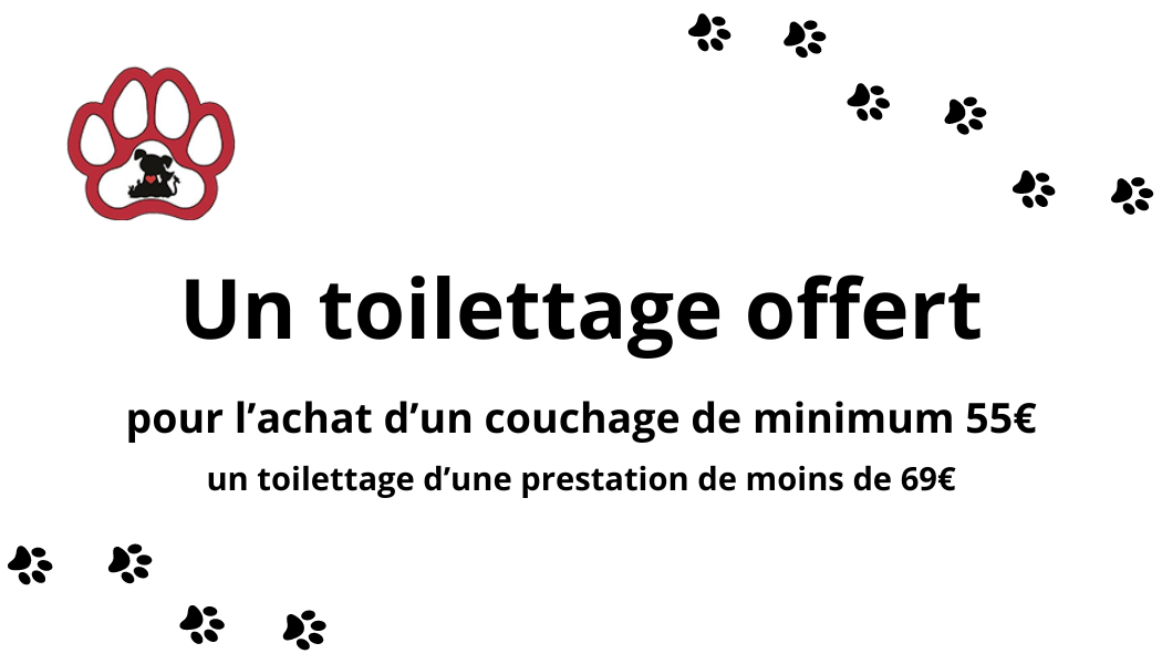 Toilettage offert (Guingamp) !