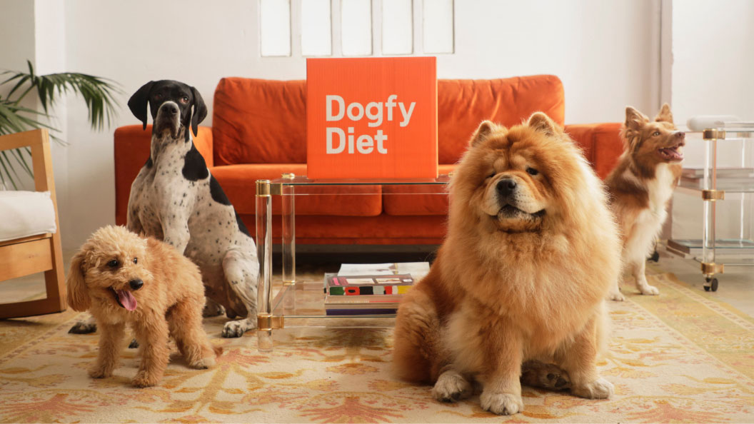 Dogfy Diet -30% + LIVRAISON GRATUITE