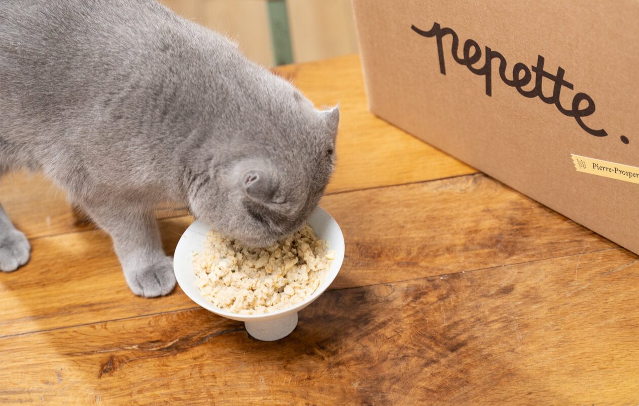 -20% sur les repas frais pour chats Pepette
