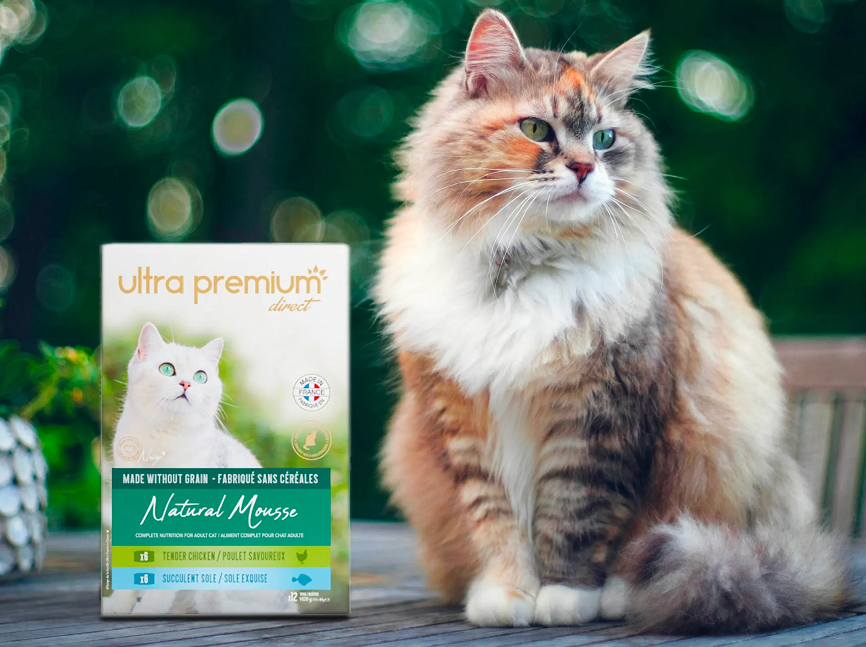 Code promo 5€ Ultra Premium Direct pour chats