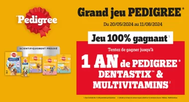 Participez au grand jeu concours Pedigree - Gagnez jusqu'à 1 an de produits !