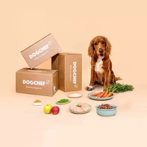 Dog Chef : 30% de réduction sur votre première commande