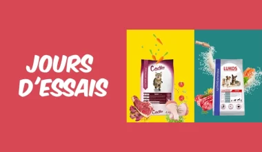 offres découvertes BREKZ : jusqu'à 50% de réduction sur de grandes marques !