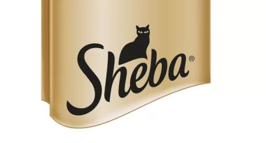 Codes promo Sheba