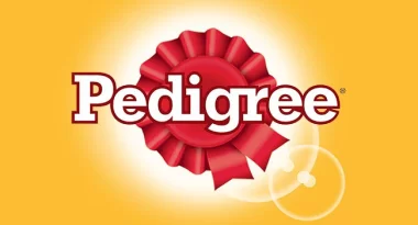 Promos Pedigree pour chien