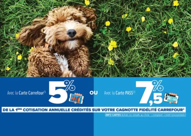 Jusqu'à 7,5% reversés sur votre cagnotte fidélité avec Carrefour assurance !