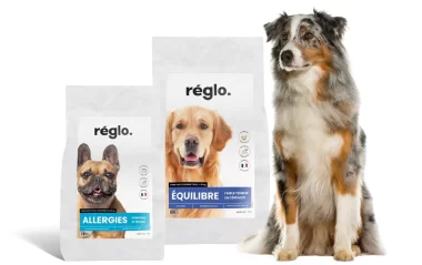 -10€ sur les croquettes pour chiens Réglo 