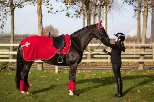 Jusqu'à 50% de Remise sur l'Équipement Équestre chez Galop Store