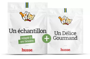  Echantillons de croquettes pour chien et chat : offre découverte !