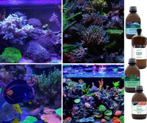 Livraison gratuite dès 50€ d'achat chez Daphbio – offrez le meilleur à vos aquariums !